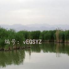 ܶ