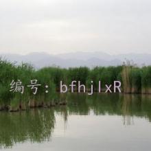Сħ