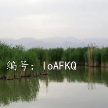 ΢