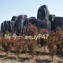 ΢